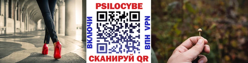 Купить  Воронеж  Галлюциногенные грибы прущие грибы 