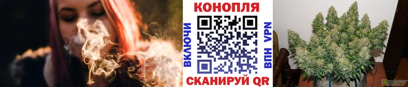 Конопля White Widow  Купить  Воронеж 
